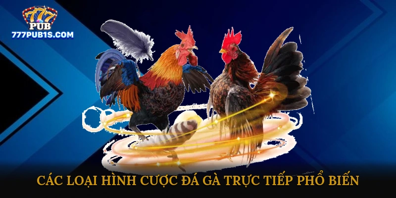 Đá gà online trực tiếp hôm nay