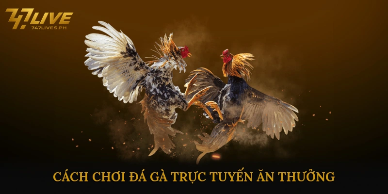 Đá gà trực tuyến ăn thưởng