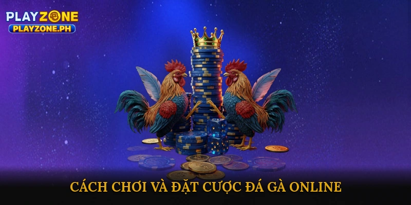 Đá gà mạng trực tuyến hấp dẫn