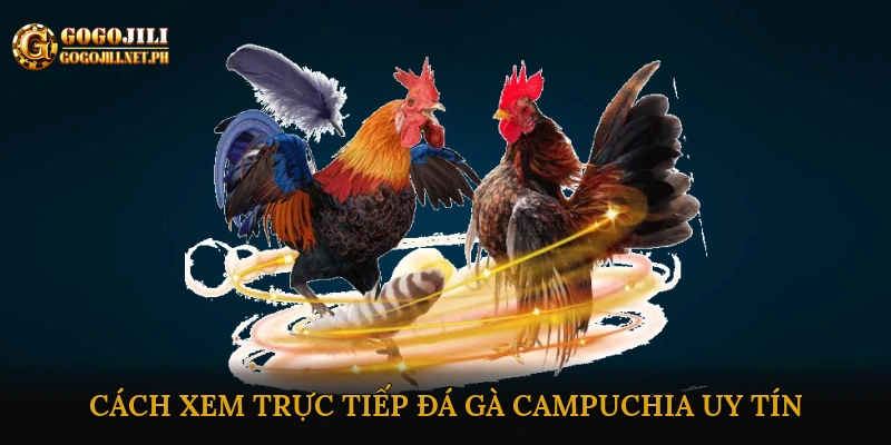 Trực tiếp đá gà campuchia uy tín