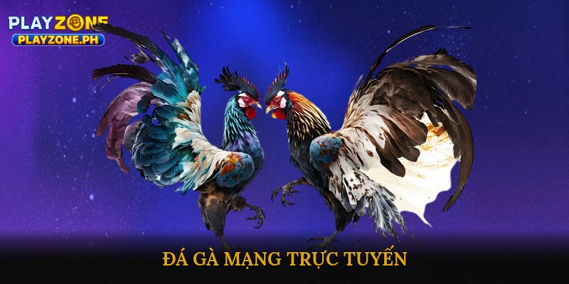 Đá gà mạng trực tuyến hấp dẫn