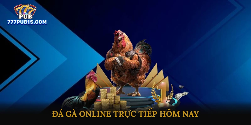 Đá gà online trực tiếp hôm nay