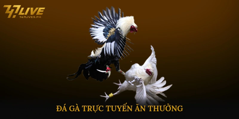 Đá gà trực tuyến ăn thưởng