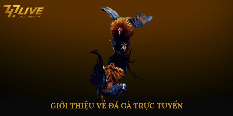 Đá gà trực tuyến ăn thưởng