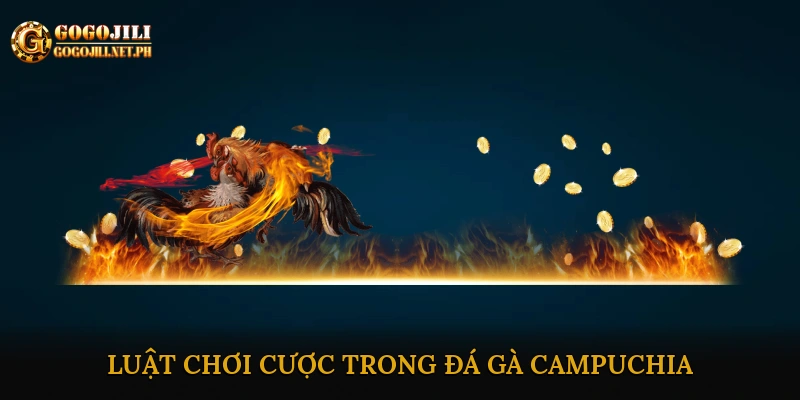 Trực tiếp đá gà campuchia uy tín