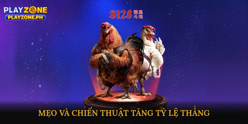 Đá gà mạng trực tuyến hấp dẫn