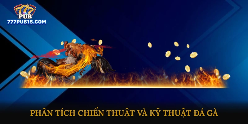Đá gà online trực tiếp hôm nay