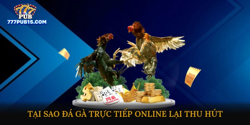 Đá gà online trực tiếp hôm nay