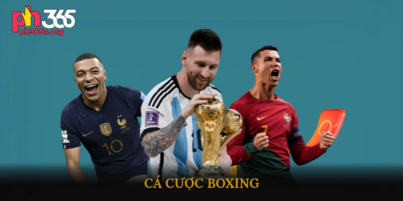 Cá cược boxing