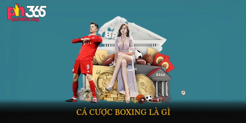Cá cược boxing
