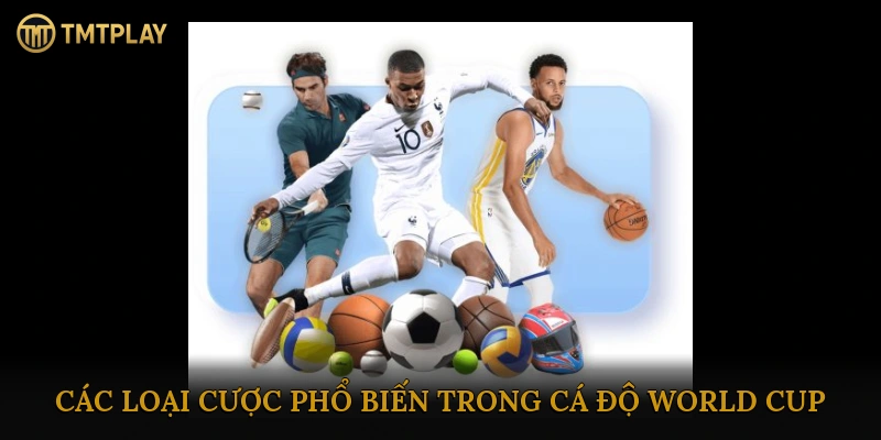 Cá độ World Cup