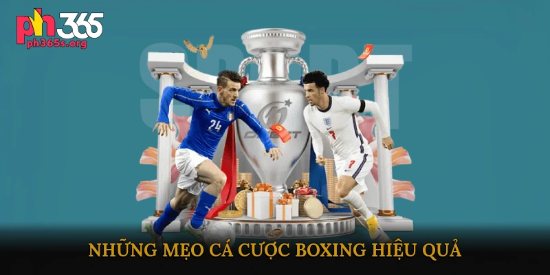Cá cược boxing