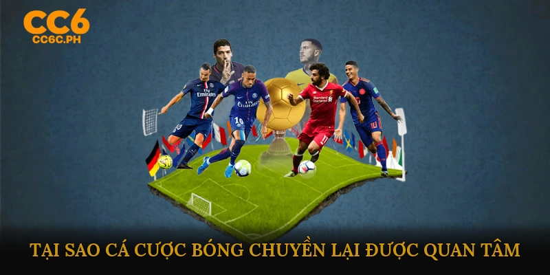 Cá cược bóng chuyền