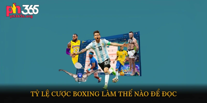 Cá cược boxing