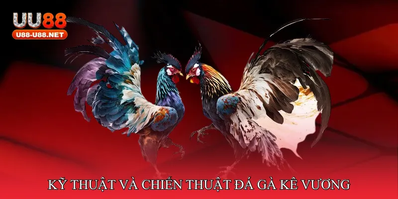 Đá gà kê vương xưng bá