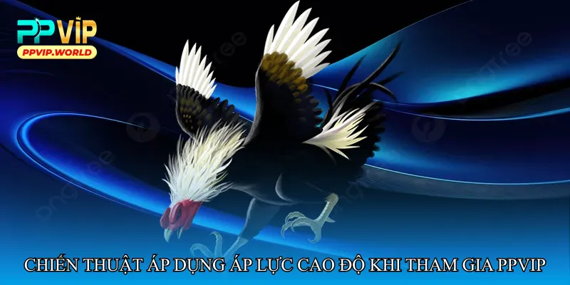 Đá gà áp lực cao độ