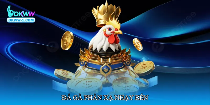 Đá gà phản xạ nhạy bén