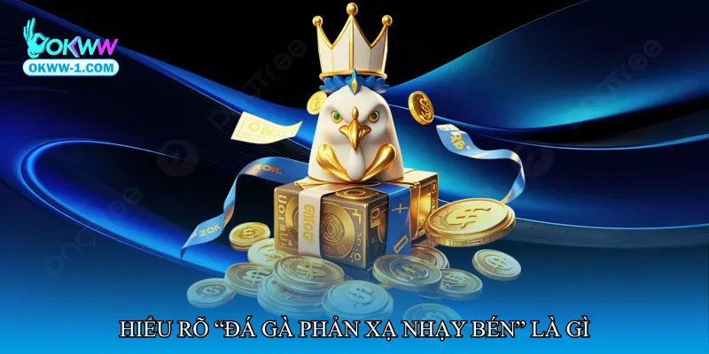 Đá gà phản xạ nhạy bén